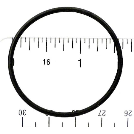 Ala-Pt A Diaclear O-Ring APCO2113